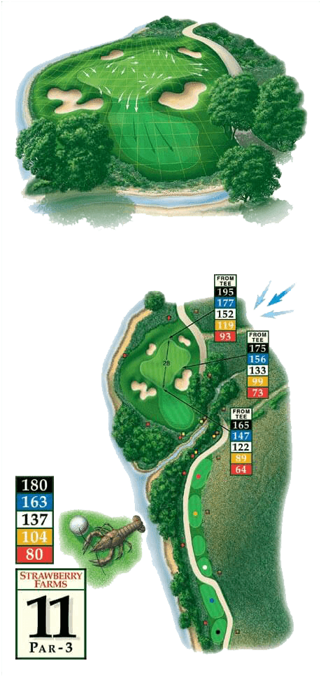 Golf courses - Hole 11
