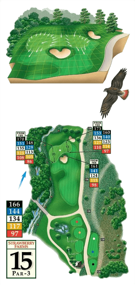 Golf courses - Hole 15