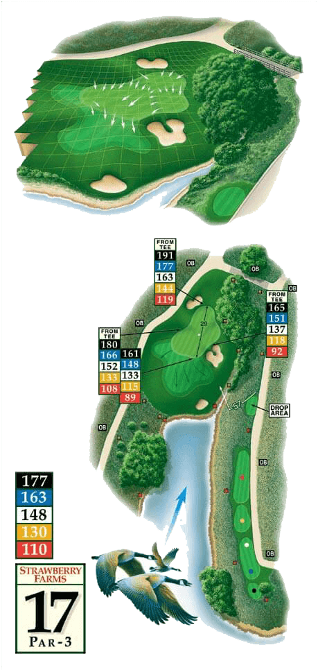 Golf courses - Hole 17