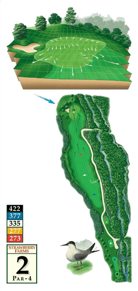 Golf courses - Hole 2