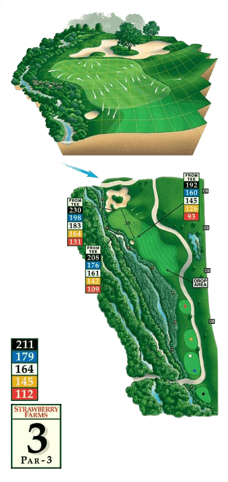 Golf courses - Hole 3