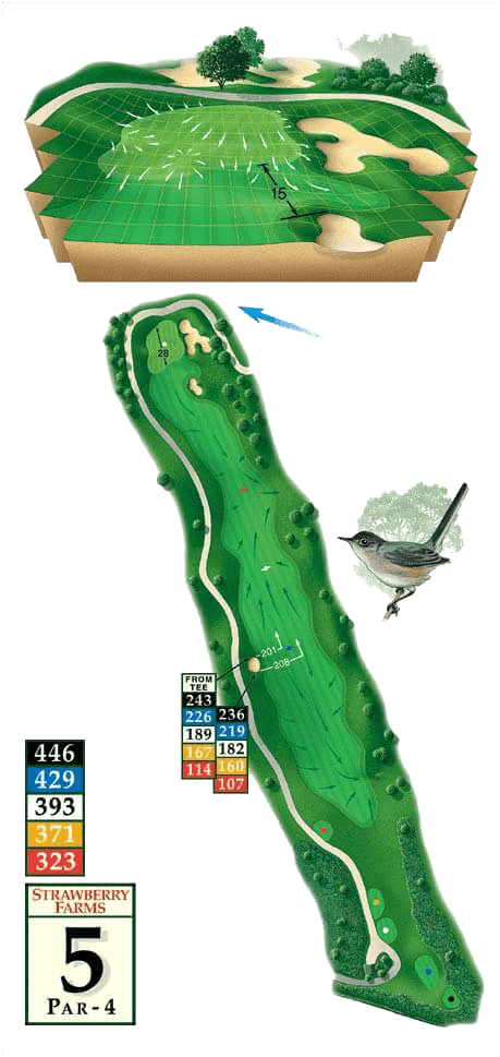 Golf courses - Hole 5