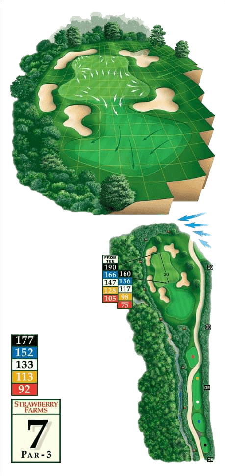 Golf courses - Hole 7
