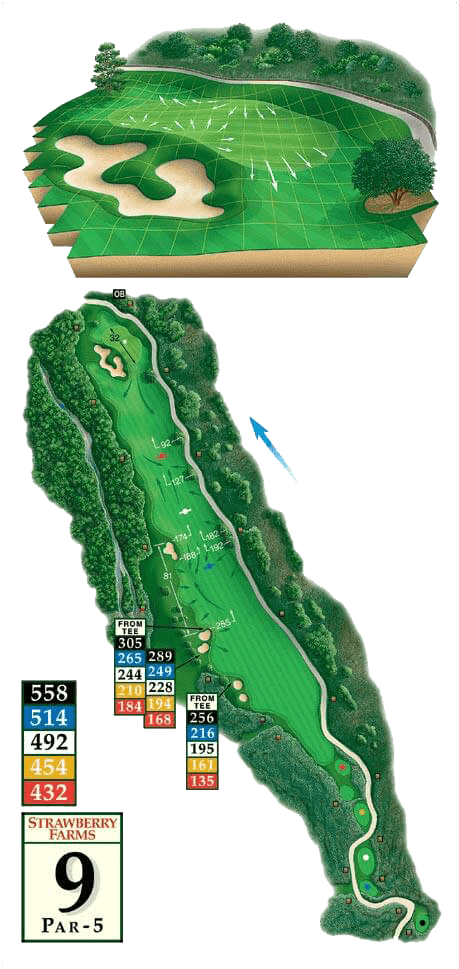 Golf courses - Hole 9